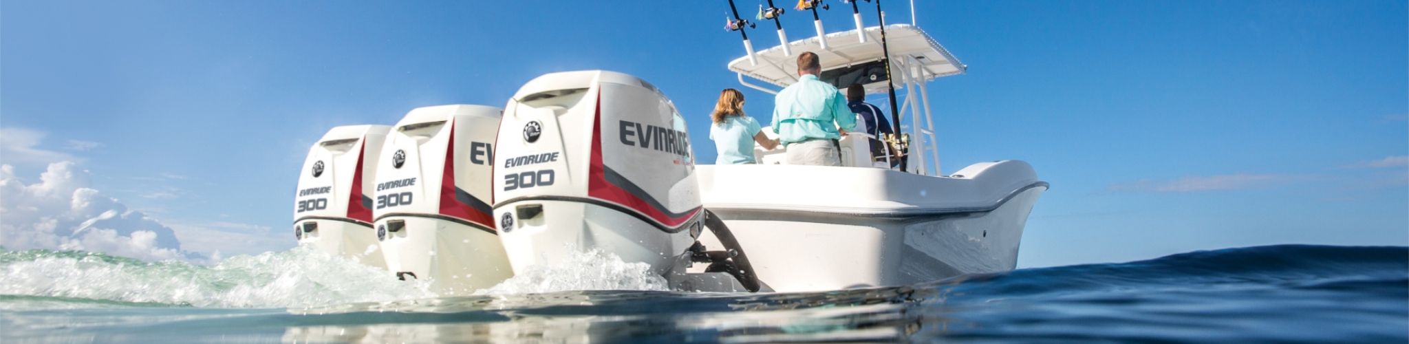 Evinrude fueraborda