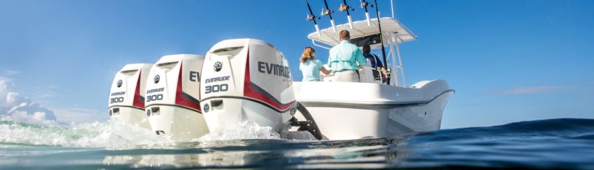 Evinrude fueraborda